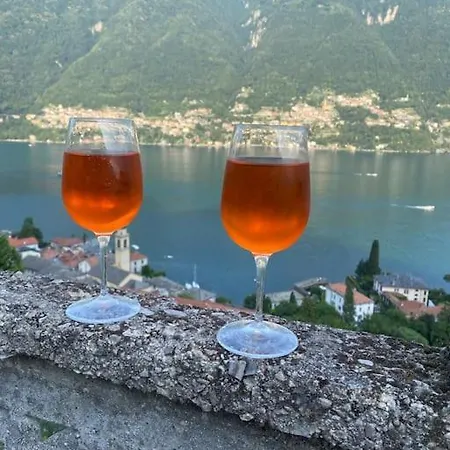 Attico + Altana Vista 360 Lago Como E G.clooney Apartment Laglio